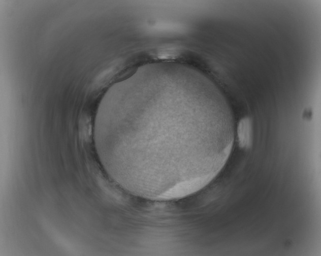 X0000113231443200910081354