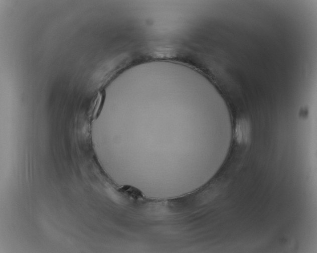 X0000113231444200910081354