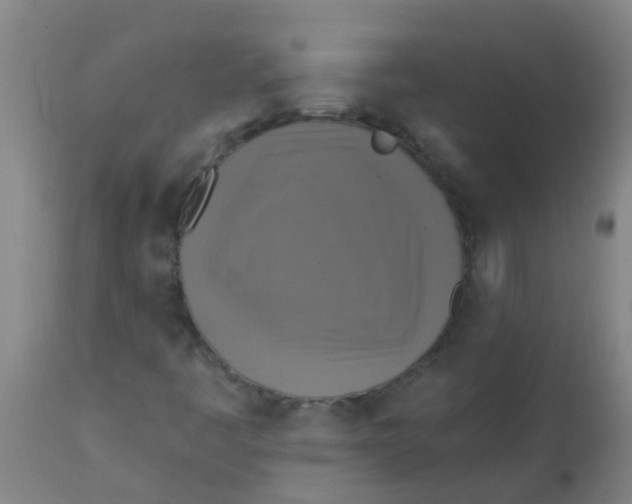 X0000113231445200910081354