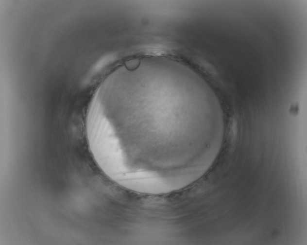 X0000113231446200910081354