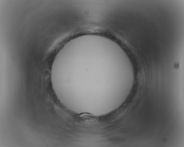 X0000113231447200910081354