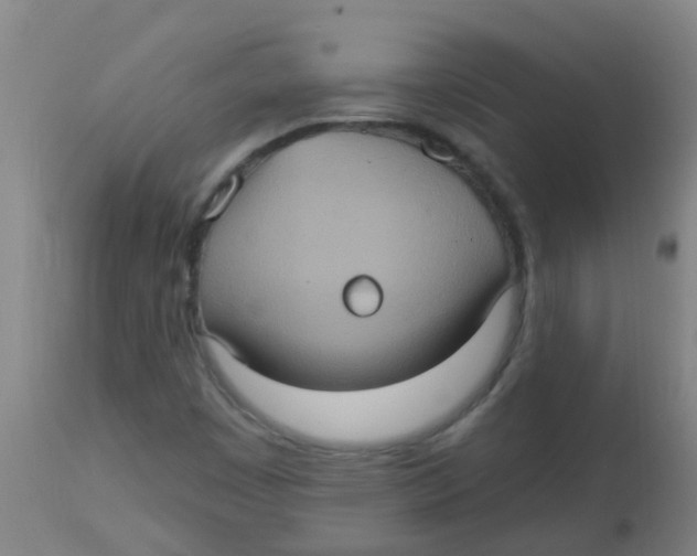 X0000113231449200910081354