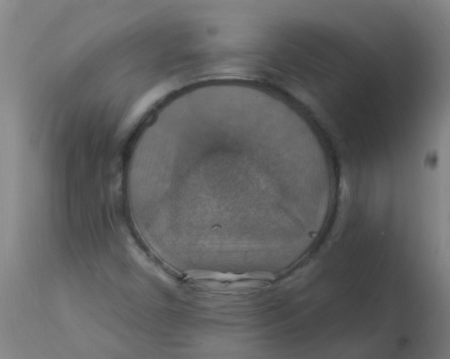 X0000113231450200910081354