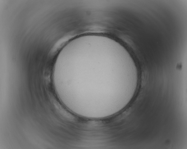 X0000113231451200910081354