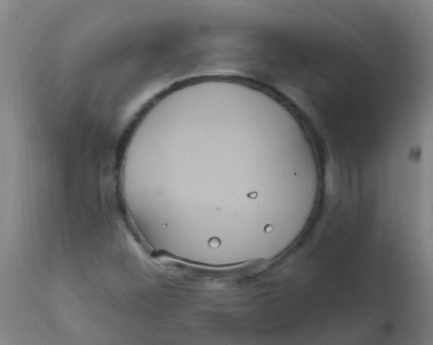 X0000113231452200910081354