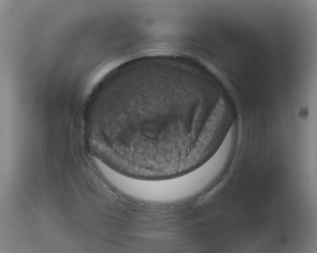 X0000113231453200910081354