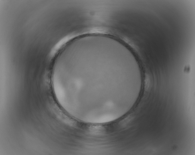 X0000113231454200910081354