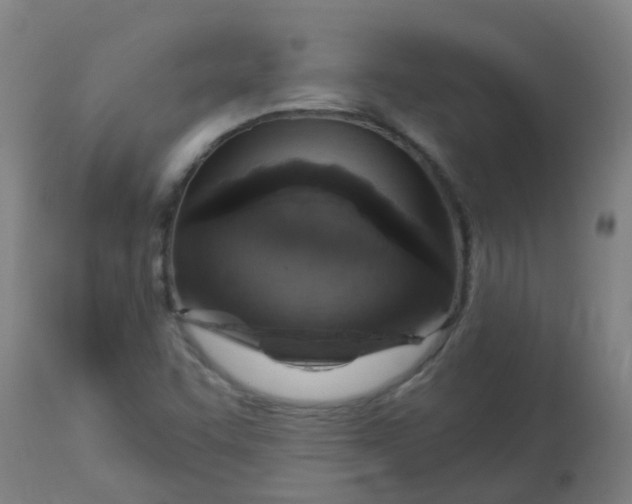 X0000113231455200910081354