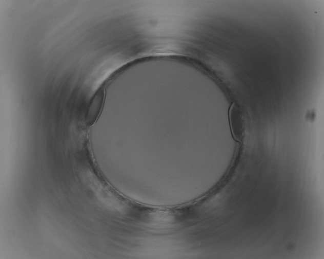 X0000113231457200910081354