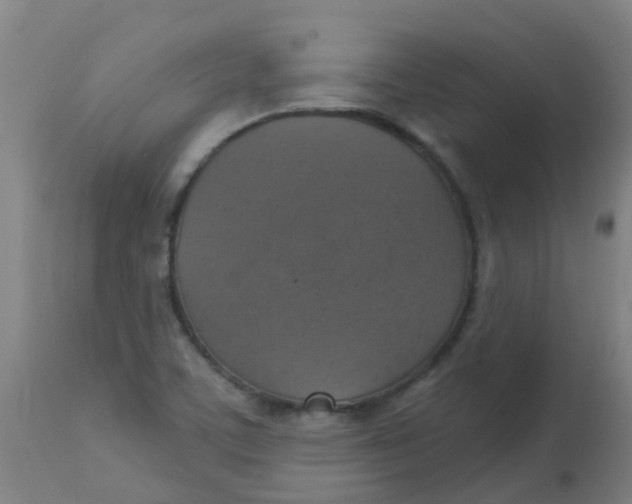 X0000113231459200910081354