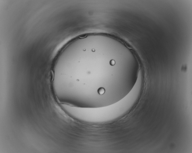 X0000113231460200910081354