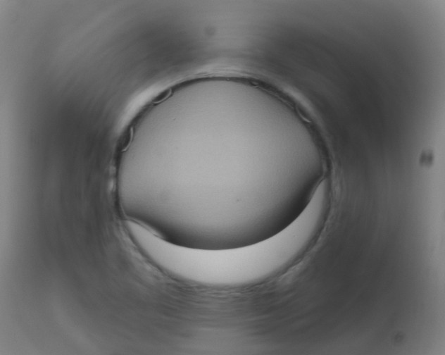 X0000113231461200910081354