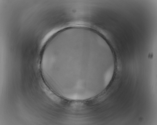 X0000113231462200910081354