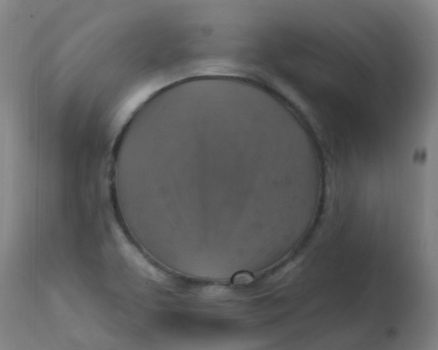 X0000113231463200910081354