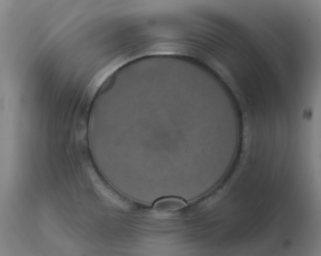 X0000113231465200910081354