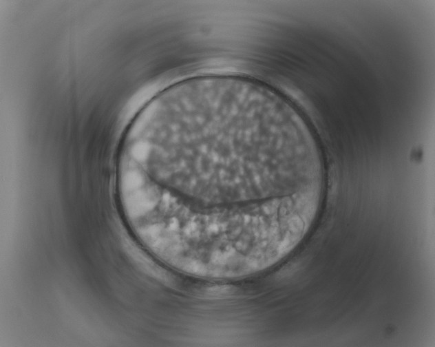 X0000113231467200910081354