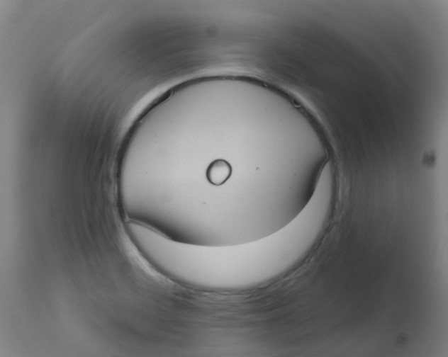 X0000113231468200910081354