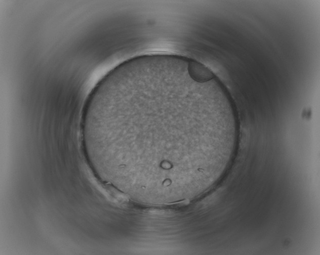 X0000113231469200910081354