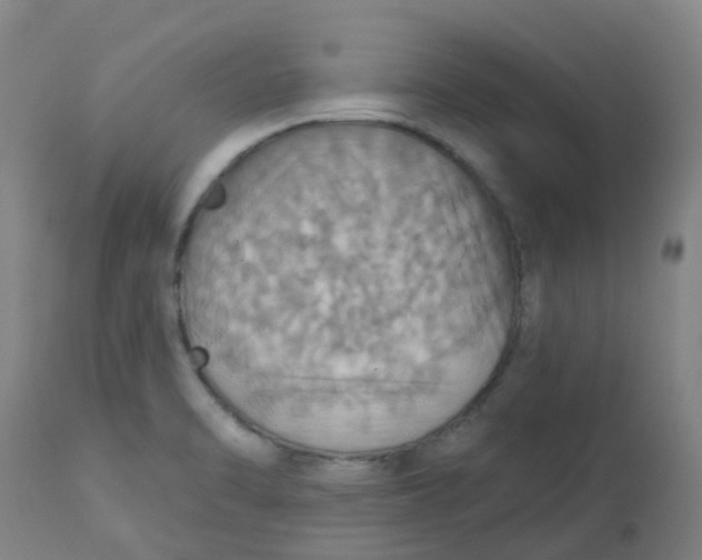 X0000113231470200910081354