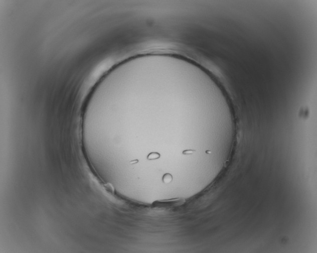 X0000113231472200910081353