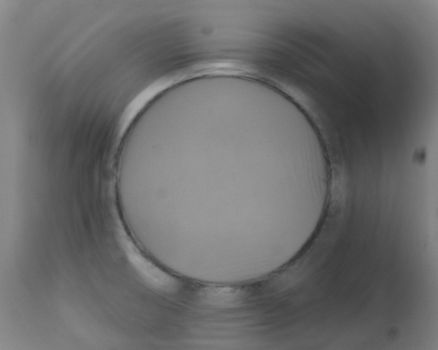 X0000113231474200910081353