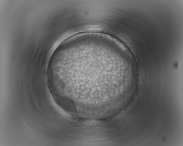 X0000113231475200910081353