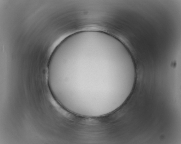 X0000113231476200910081353