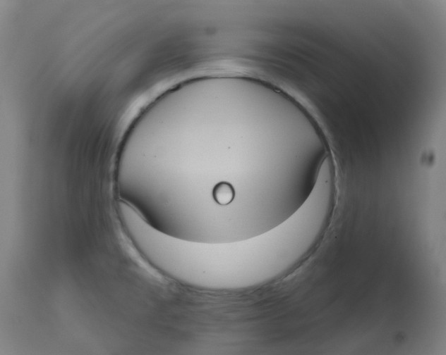 X0000113231477200910081353