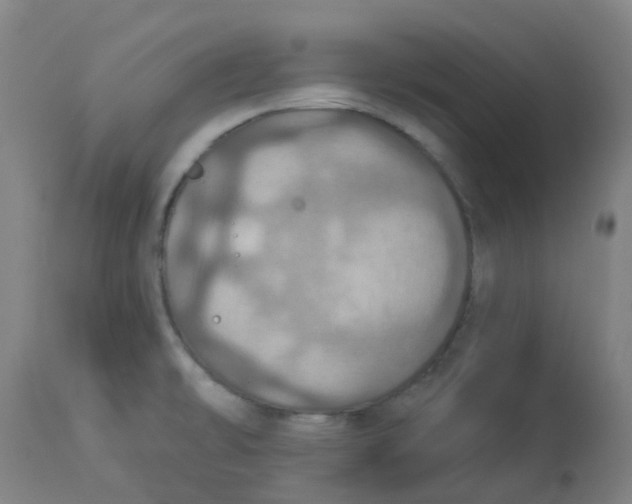 X0000113231478200910081353