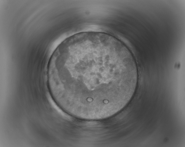 X0000113231479200910081353