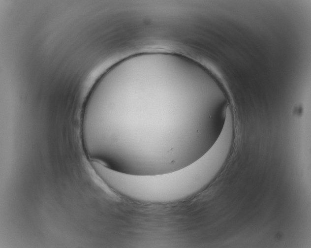 X0000113231480200910081353