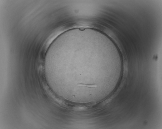 X0000113231481200910081353