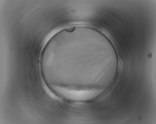 X0000113231482200910081353