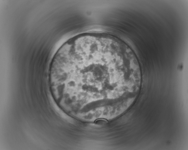 X0000113231483200910081353