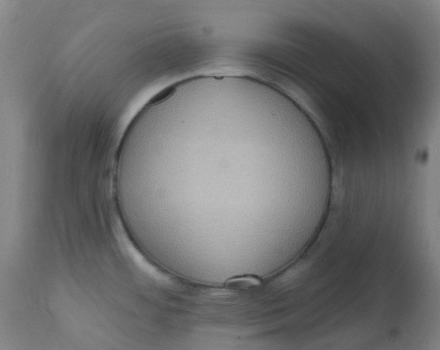 X0000113231484200910081353