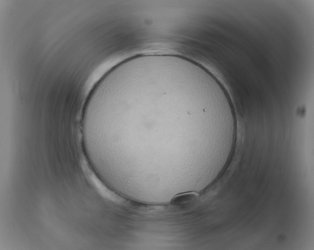 X0000113231485200910081353