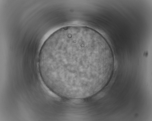 X0000113231486200910081353