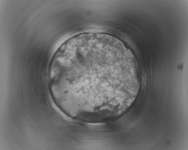 X0000113231487200910081353