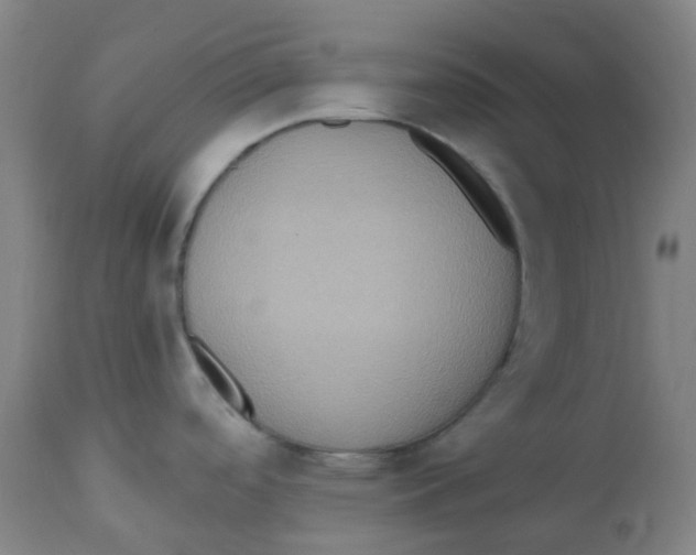 X0000113231488200910081353