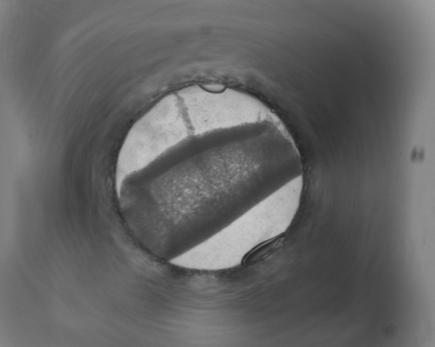 X0000113231489200910081353