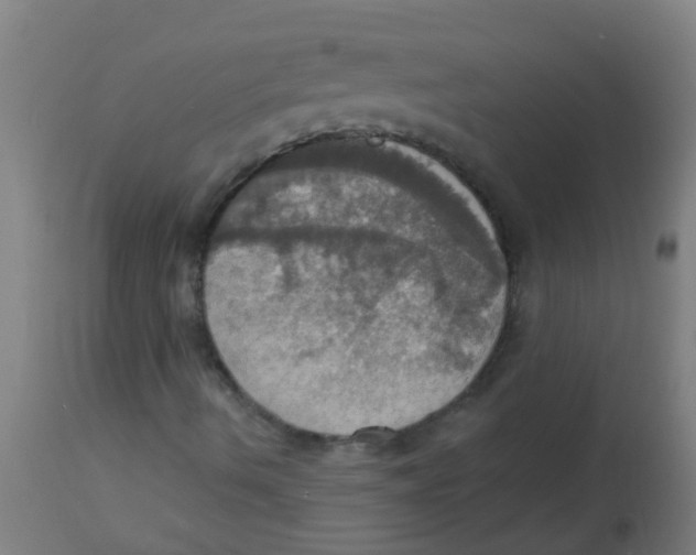 X0000113231490200910081353