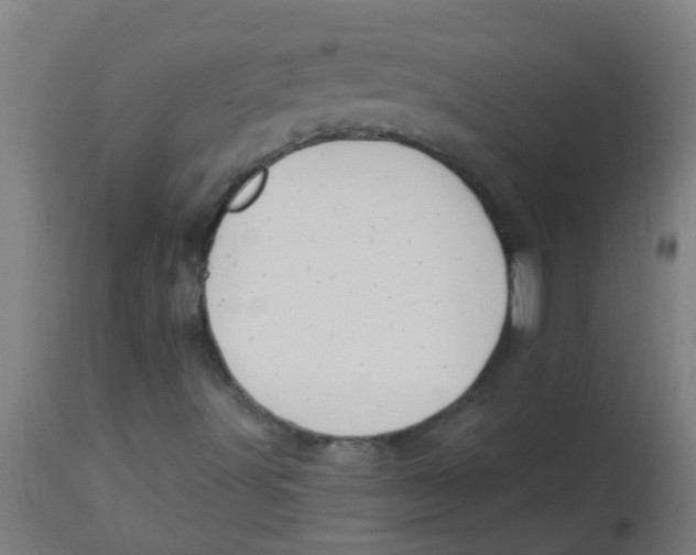 X0000113231491200910081353