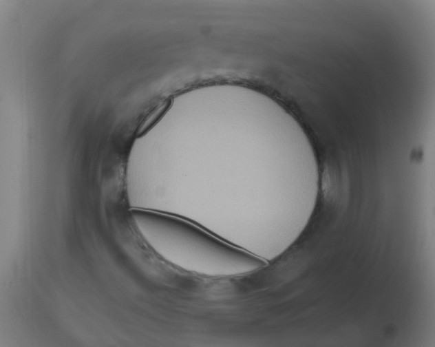 X0000113231492200910081353