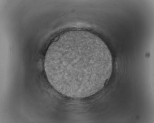 X0000113231493200910081353