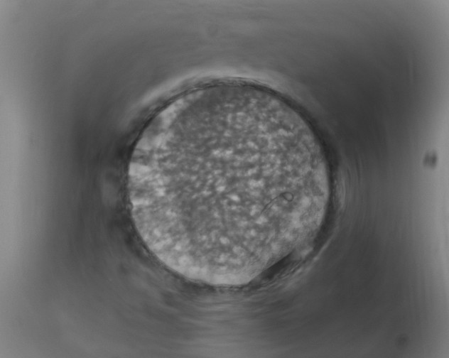 X0000113231494200910081353