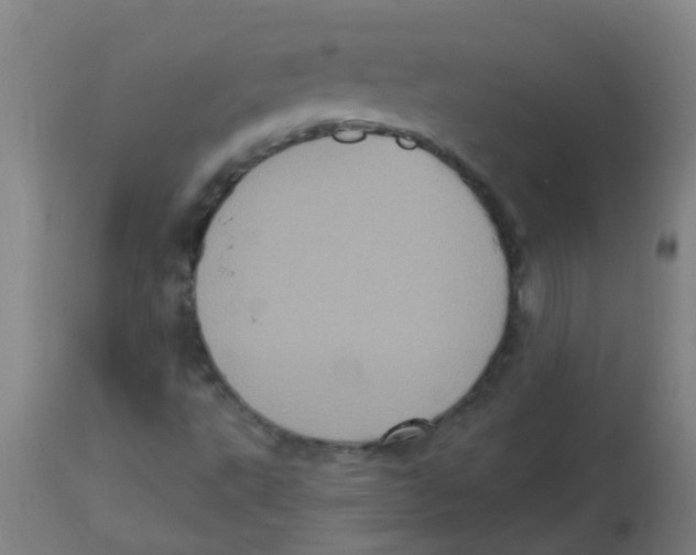 X0000113231495200910081353