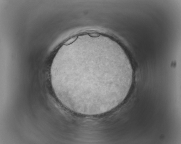 X0000113231496200910081353