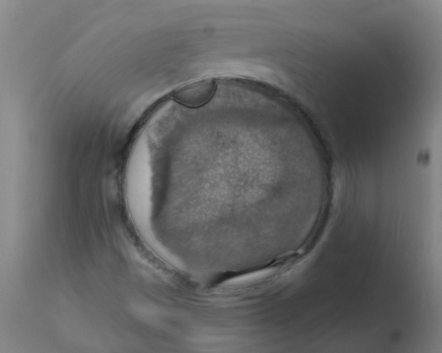 X0000113231497200910081353