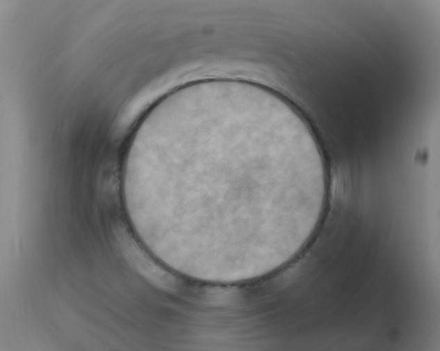 X0000113231498200910081353