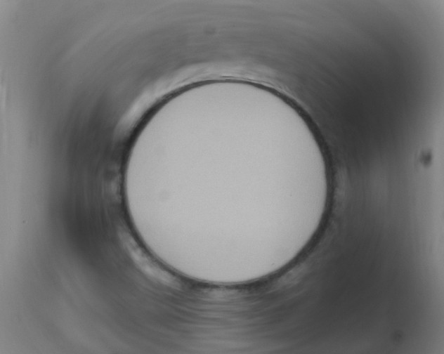 X0000113231499200910081353